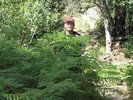 photo thumbnail #13