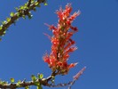 photo thumbnail #8