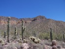 photo thumbnail #9