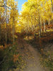 photo thumbnail #7
