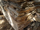 photo thumbnail #9