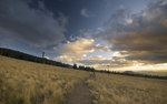 photo thumbnail #10