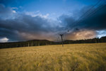photo thumbnail #11
