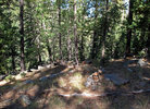 photo thumbnail #4