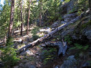 photo thumbnail #6