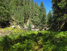 photo thumbnail #8