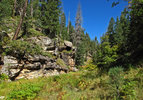 photo thumbnail #14