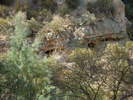 photo thumbnail #7