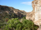 photo thumbnail #13