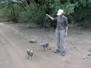 photo thumbnail #6
