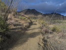 photo thumbnail #4