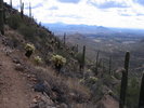 photo thumbnail #11