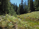 photo thumbnail #7