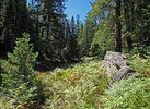 photo thumbnail #9