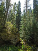 photo thumbnail #10