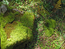 photo thumbnail #11