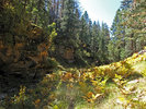 photo thumbnail #14