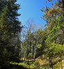 photo thumbnail #15