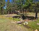 photo thumbnail #3
