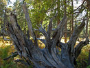 photo thumbnail #7