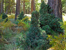 photo thumbnail #9
