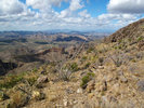 photo thumbnail #14