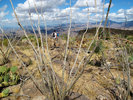 photo thumbnail #15