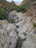 photo of comment