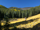 2009-10-02 West Baldy Trail #94 :: PrestonSands