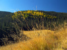 2009-10-02 West Baldy Trail #94 :: PrestonSands