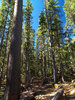 2009-10-02 West Baldy Trail #94 :: PrestonSands