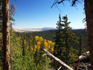 photo thumbnail #9