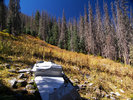 photo thumbnail #1