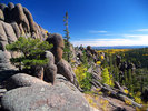 photo thumbnail #5