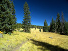 photo thumbnail #8