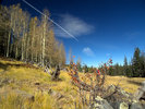 photo thumbnail #11