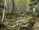 photo thumbnail #9