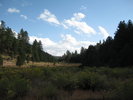 photo thumbnail #2