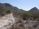 photo thumbnail #1
