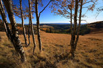 photo thumbnail #12