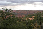 photo thumbnail #5