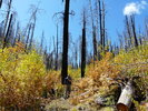 photo thumbnail #2