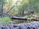 photo thumbnail #8
