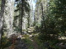 photo thumbnail #9