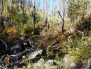 photo thumbnail #10