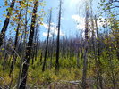 photo thumbnail #11