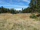 photo thumbnail #12