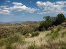 photo thumbnail #9