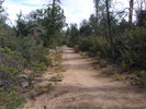 photo thumbnail #9