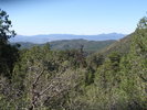 photo thumbnail #10